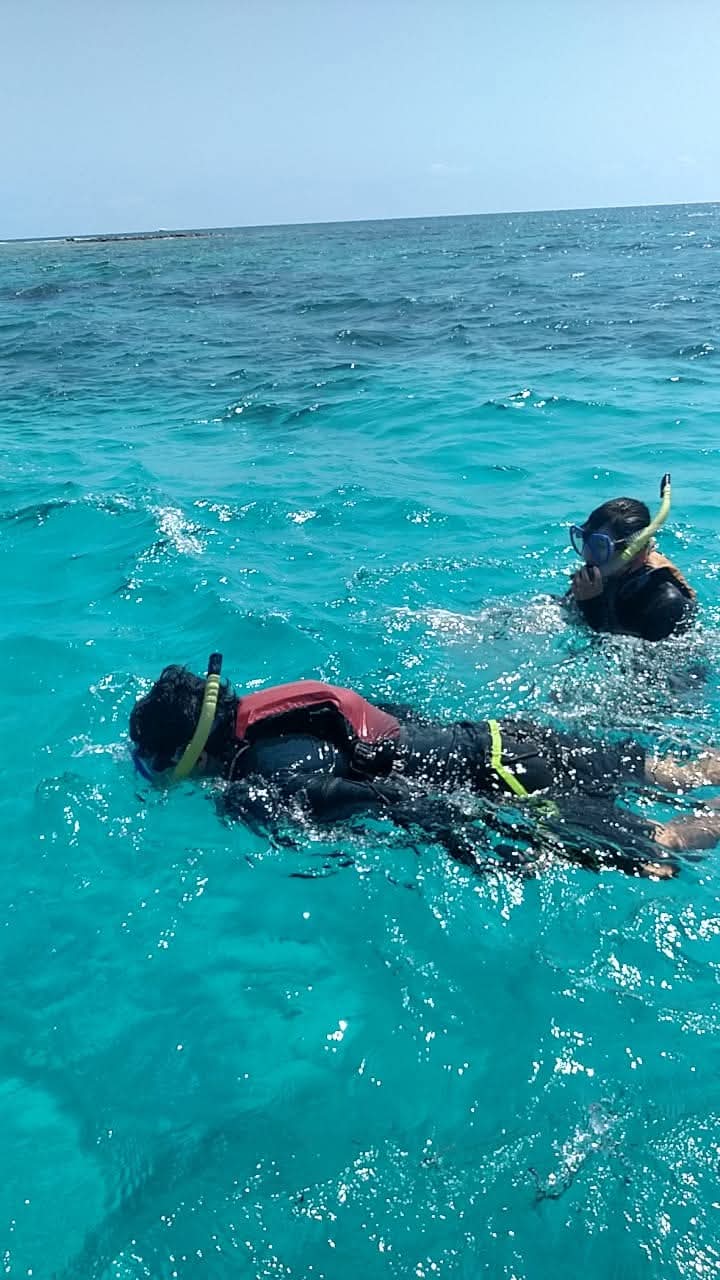 Snorkel the reef