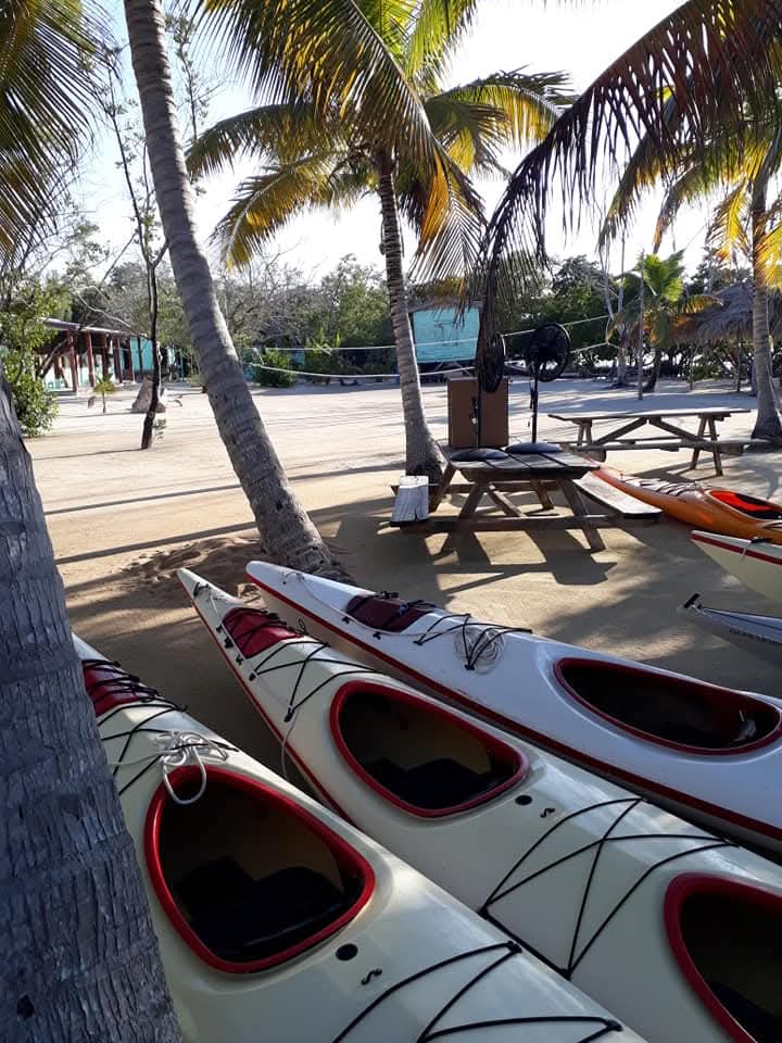 Kayak the Coast