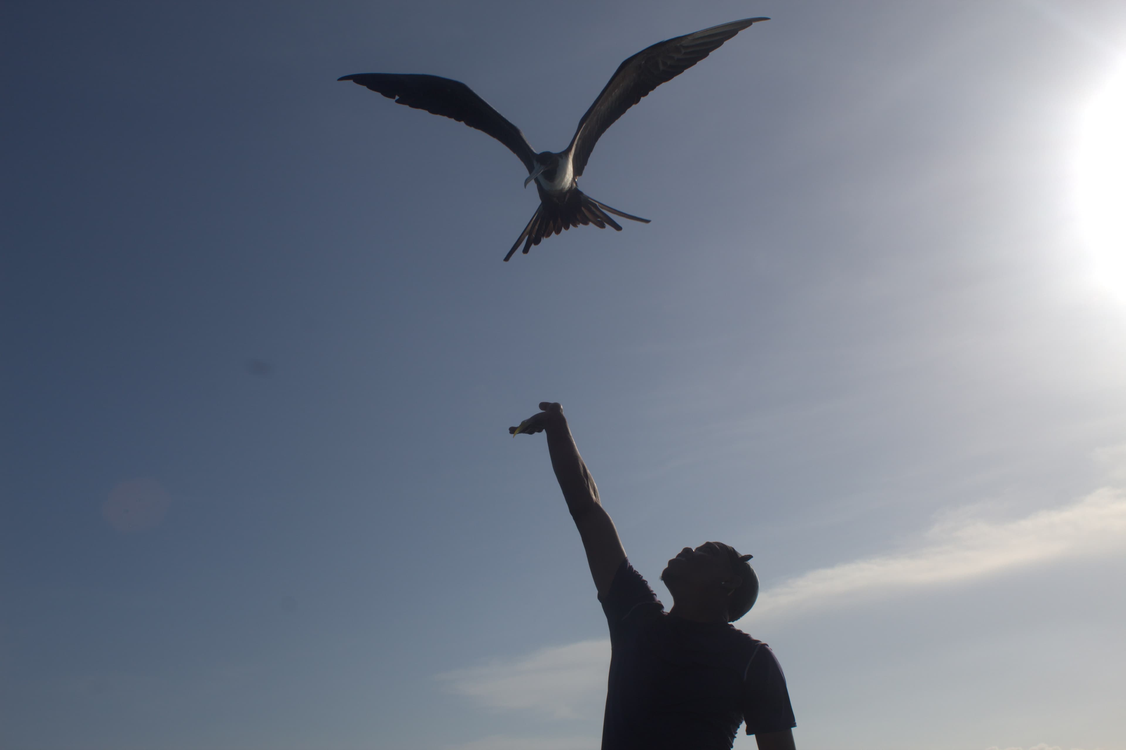 Island life at Hawk Caye Lodge, Belize — Hawk Caye Lodge